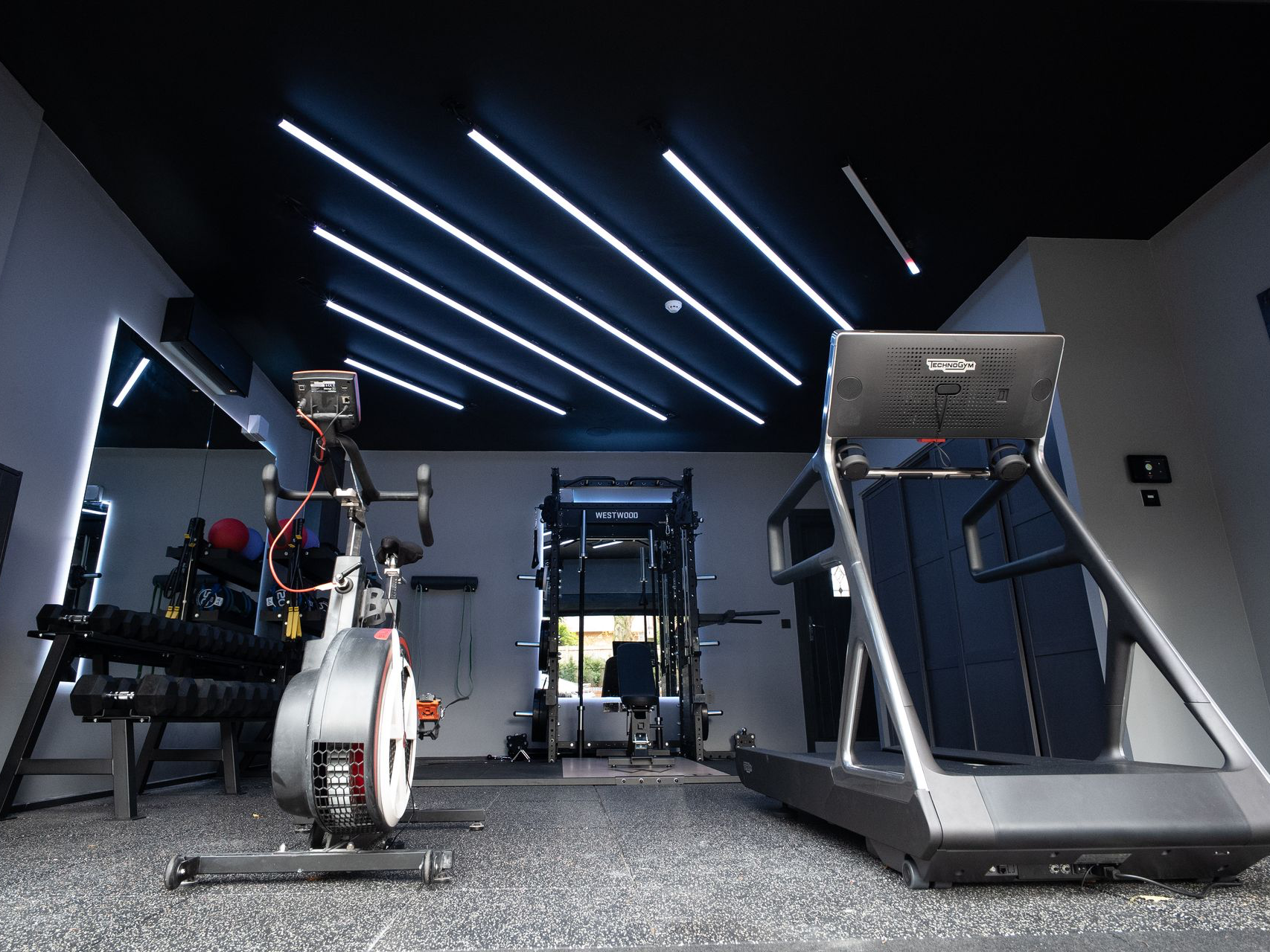 LEDSnaps pace system home gym